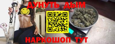 индика Пушкино