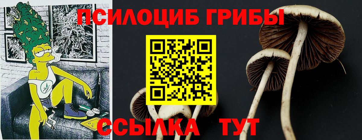 Псилоцибиновые грибы Magic Shrooms  Галлюциногенные грибы MAGIC MUSHROOMS  Вход с VPN  Реж 